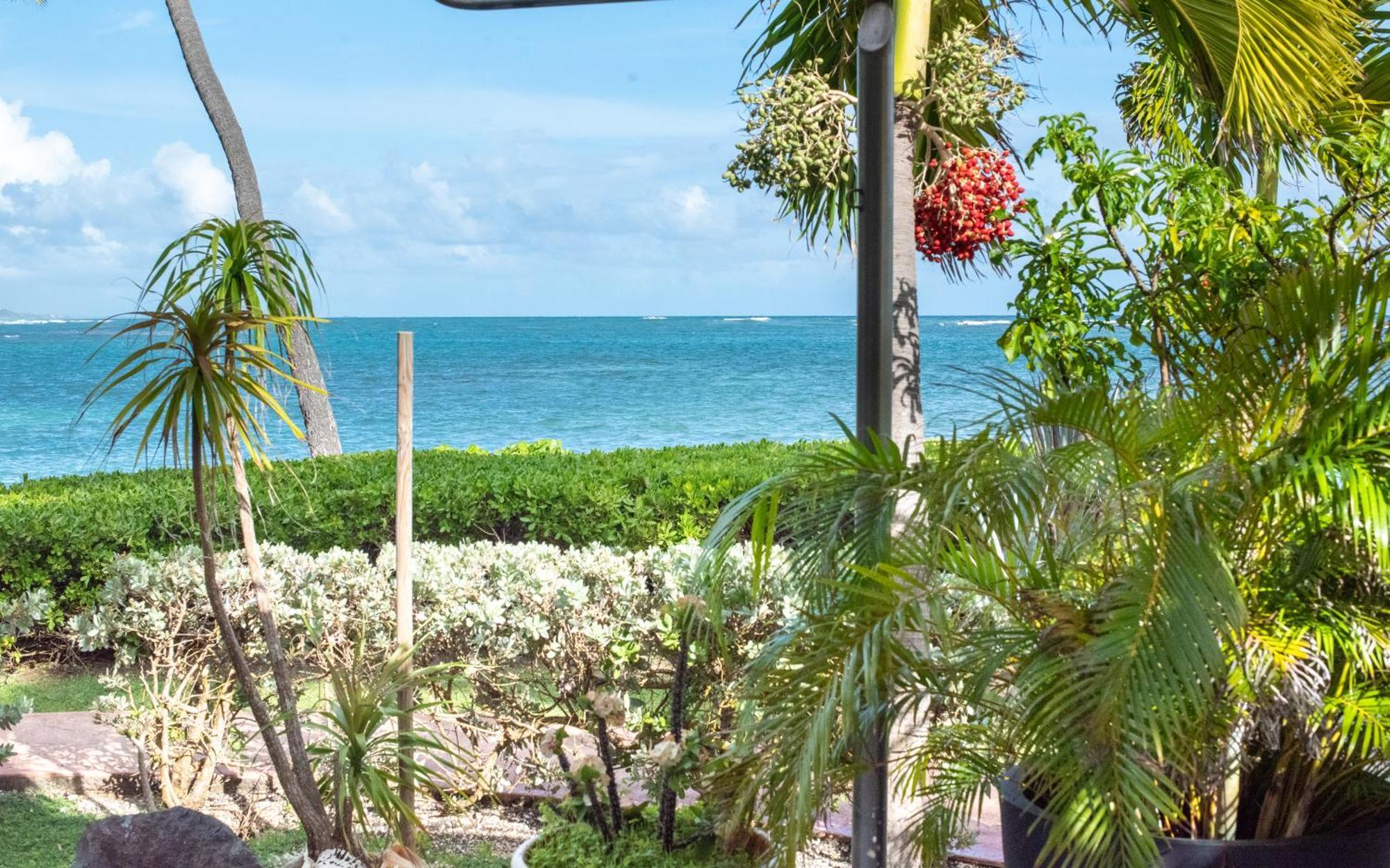 Pasha - Ocean View Apartment แซนต์-อาน ภายนอก รูปภาพ
